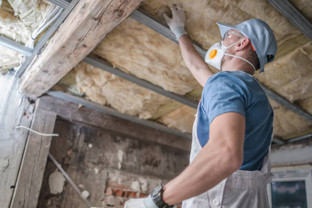 Best Cellulose Insulation in Lawrenceburg, TN
